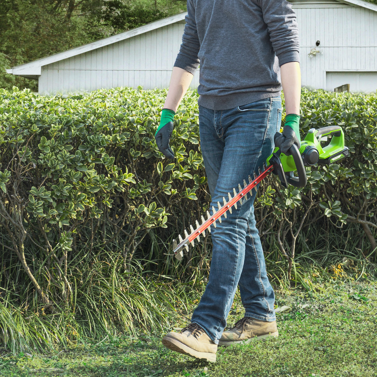 POWERALL 24V Taille-haie 61cm - Sans batterie