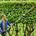 60V Taille-haies sur perche 51 cm Gen. 2