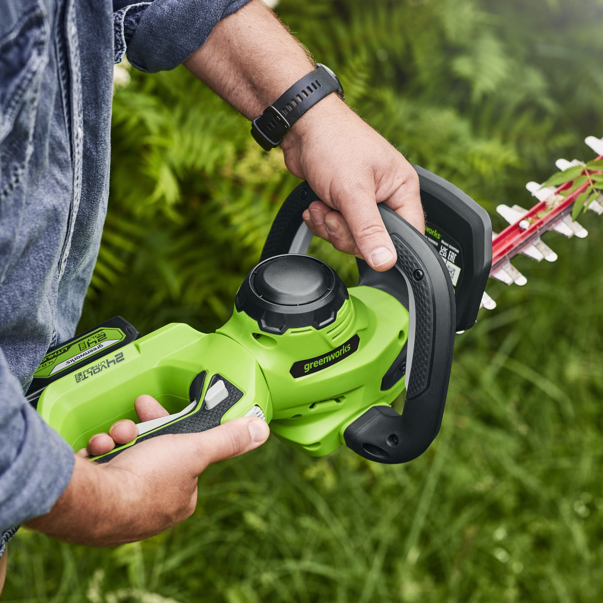 POWERALL 24V Taille-haie 56cm - Sans batterie