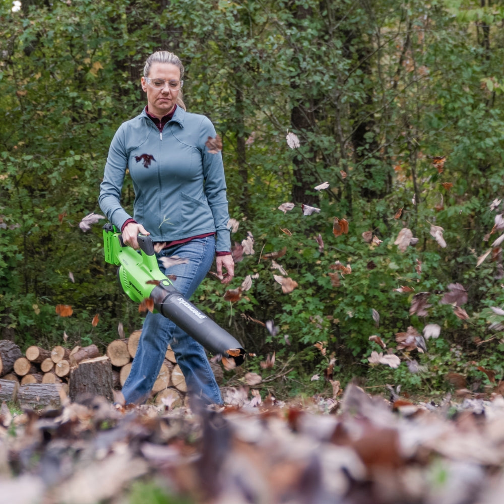 40V Souffleur 193 km/h Gen. II - Batterie 2Ah