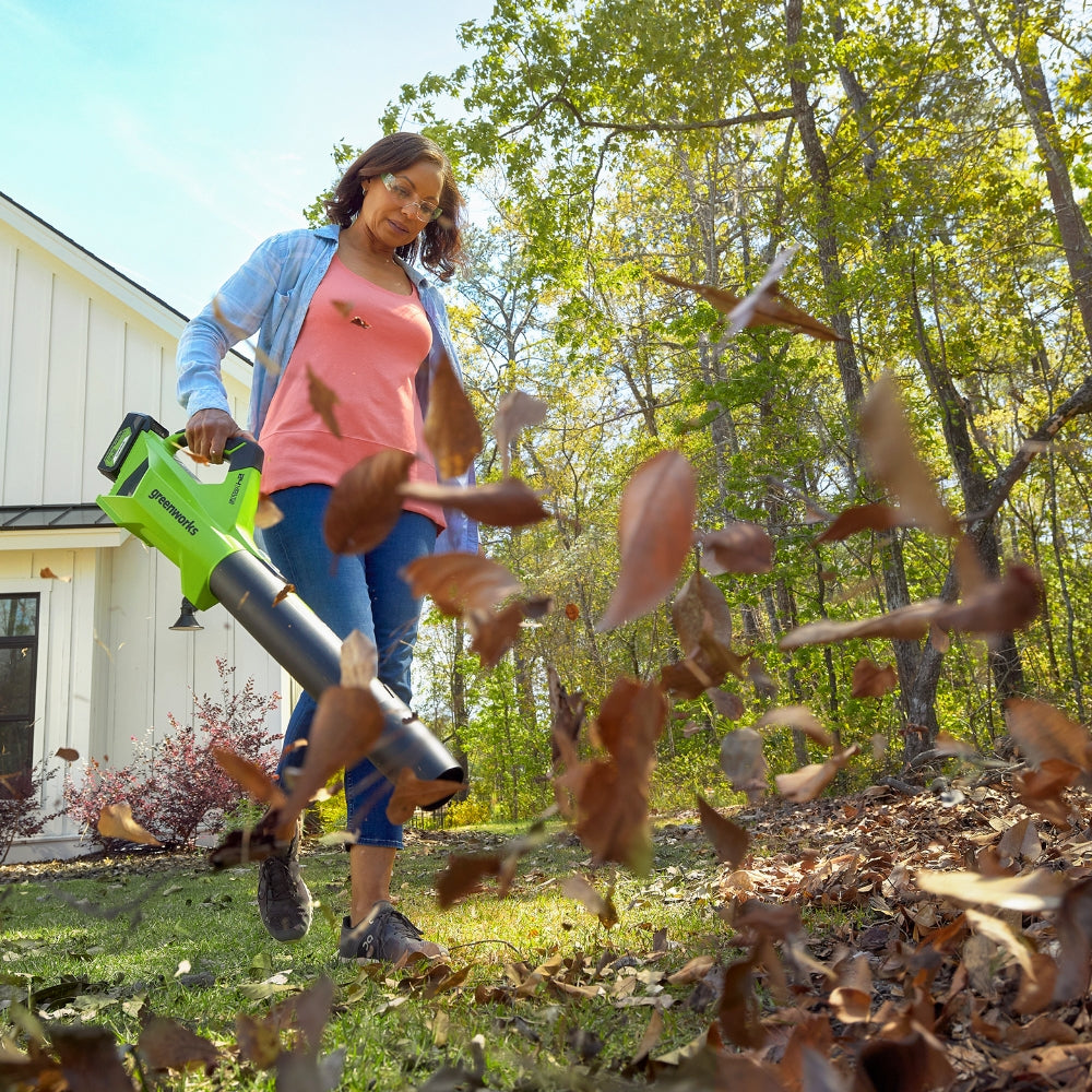 24V Souffleur 177 km/h - Batterie 4Ah