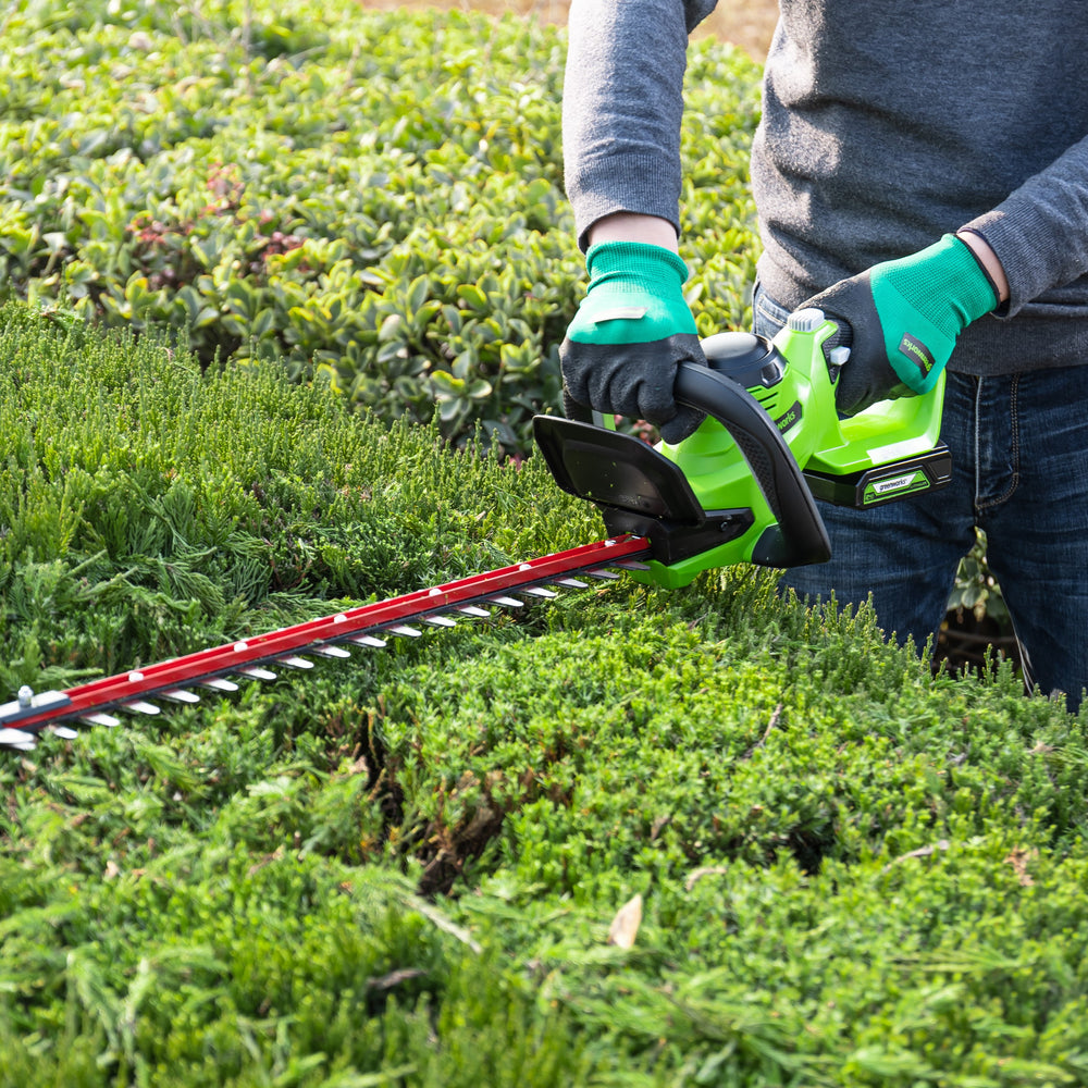 POWERALL 24V Taille-haie 61cm - Batterie 2Ah 