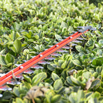 24V Taille-haie 61cm