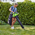 POWERALL 48V (24V x 2) Souffleur / Aspirateur à feuilles 322 km/h