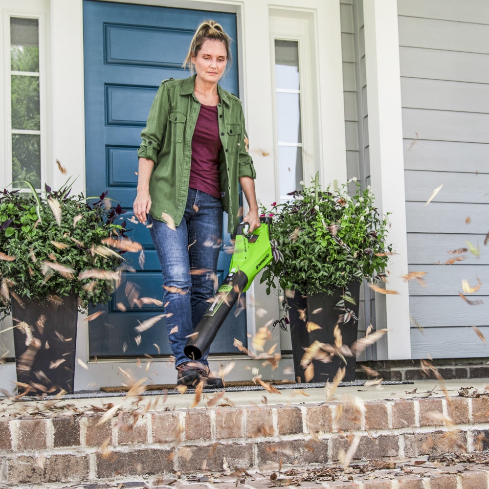 24V Souffleur 177 km/h - Batterie 4Ah