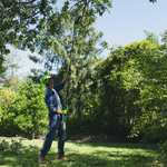 POWERALL 24V Elagueuse sur perche 20cm Gen. II - Batterie 2Ah