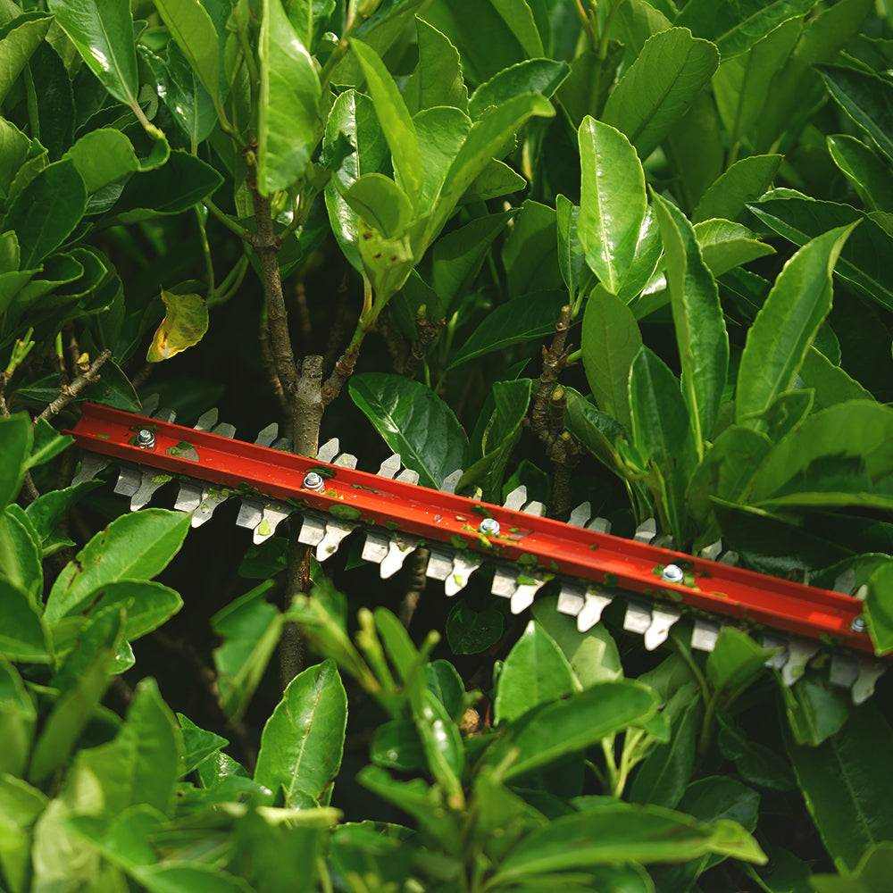 40V Taille-haie 61cm - Sans batterie