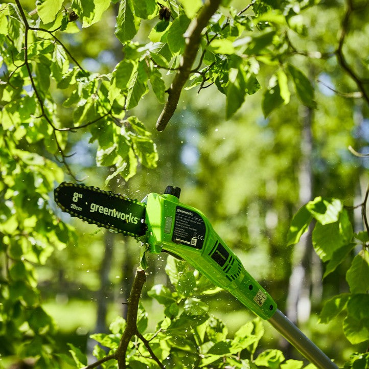 Puissance sans fil pour des coupes nettes – maintenant à –15% !