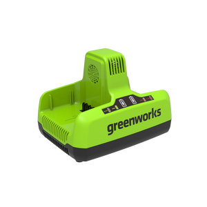 60V Chargeur double emplacement 6A