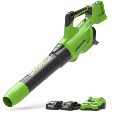 POWERALL 48V (24V x 2) Souffleur 217 km/h - 2x Batteries 2Ah