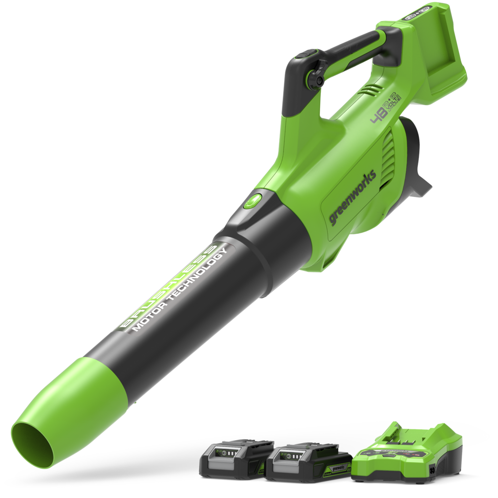 POWERALL 48V (24V x 2) Souffleur 217 km/h - 2x Batteries 2Ah