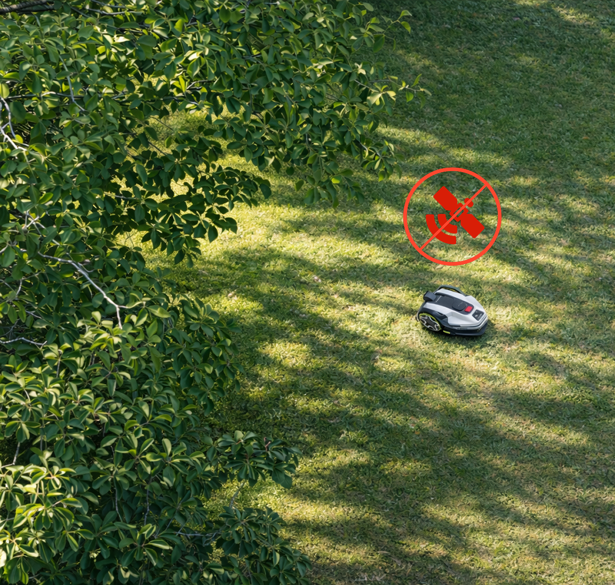 Tond même sous les arbres