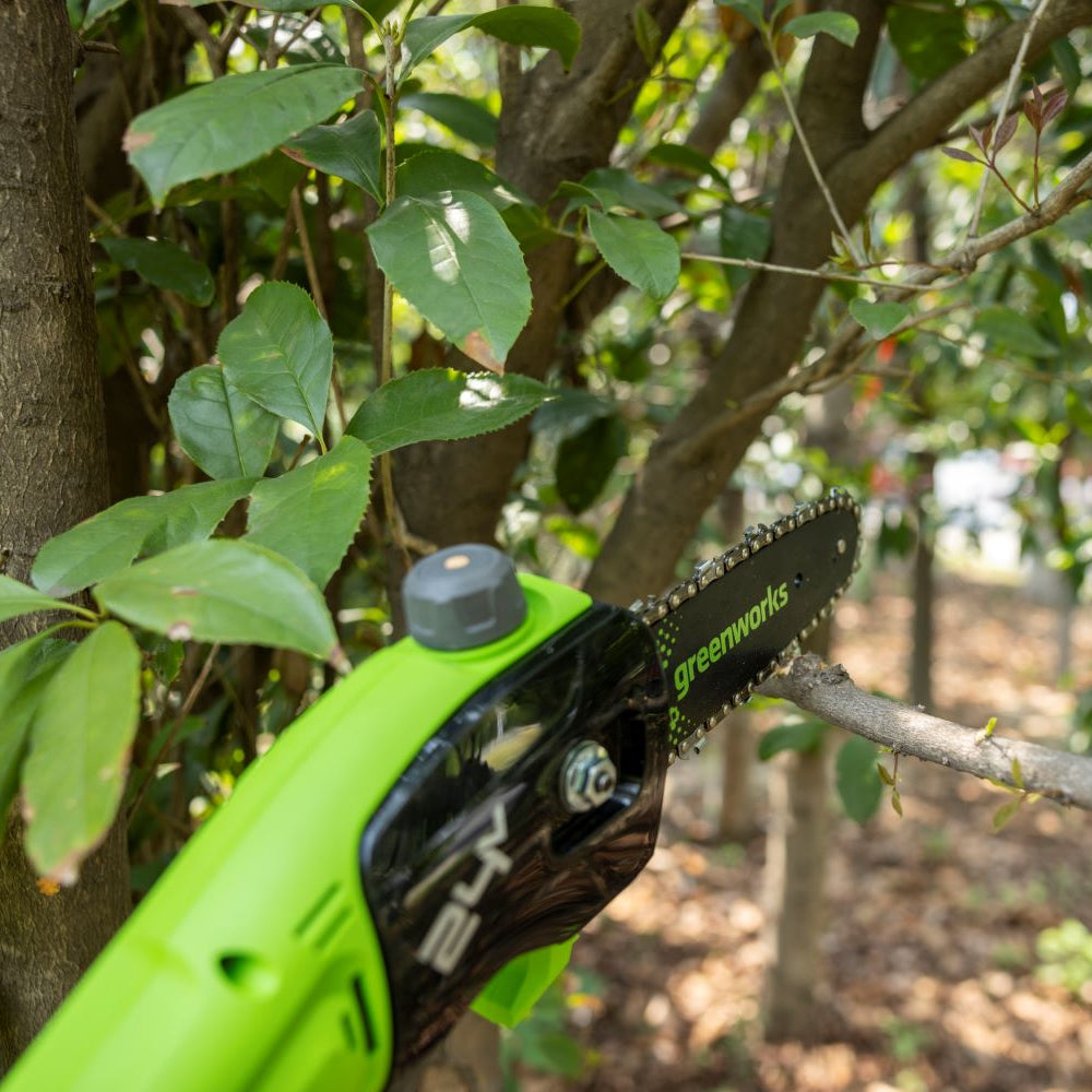 24V Elagueuse sur perche 20cm - Sans batterie