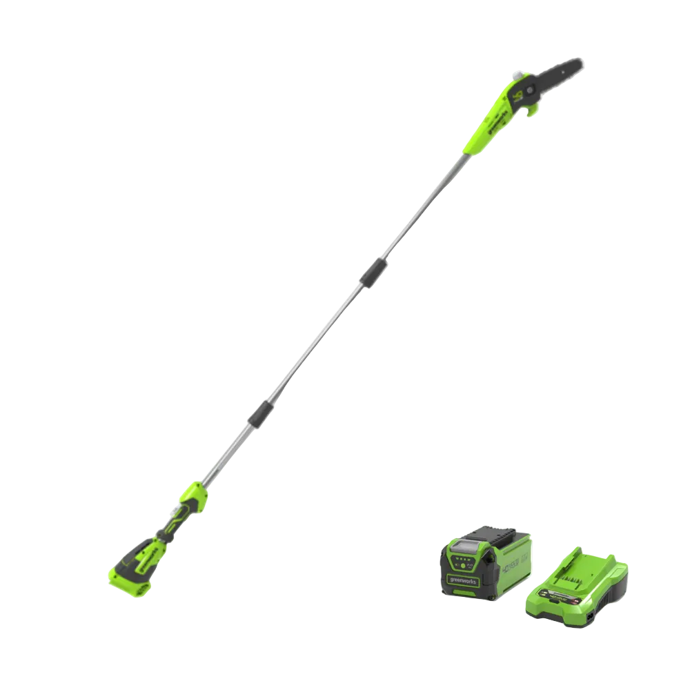 40V Pole Saw 20cm Gen. II - 2Ah Battery